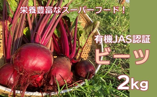 y啪PnszL@JASF؁Ih{̍X[p[t[hI r[ciQsj