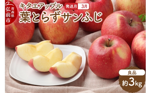 yXOOszy26N3N[֔z t炸TӂyǕiz3kg L^GAbv