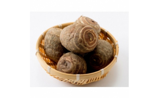 yxRszuꕶ̗v5kgy1682097z