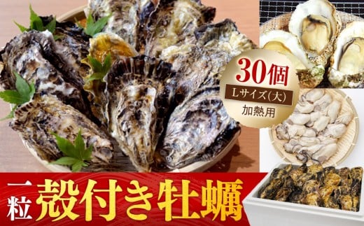 yLsszmktynkTCY()30sMptyL Ly  VN {  lC L { ssz