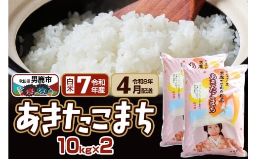 yHcjszyR8N4͂z܂  20kg(10kg×2) Ȃ܂̗͂ HcjsY 쏤X 