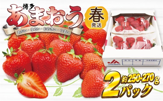 ysszAT-002_܂2pbN(t)w2`4x