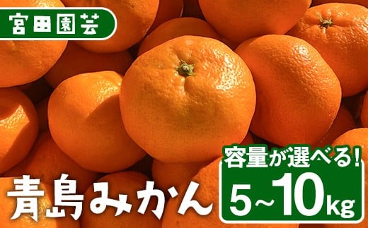 y啪Fszs\tI2026N1{ȍ~\聄eʂIׂI݂(5`10kgEM`3L)݂  t[c ʕ  k Ԍy112300301E112300401E1