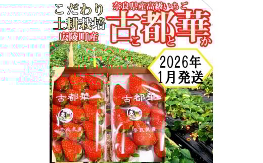 yޗǌL˒zy2026N1z̓yk͔| ޗǌYyÓs؁z_ƒ!2pbN