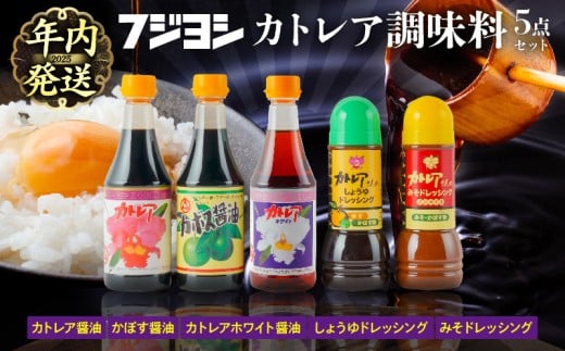 y啪ʕ{szyNzJgAݖEڂݖEJgAzCgݖe360mlƃhbVO2̃MtgZbg