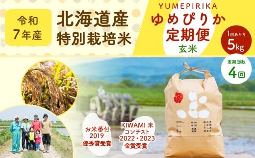 ykC[szy4ցzkCY ʍ͔|Ă߂҂肩iāj 5kg×4 v20kg    R   ͂ ߂҂肩 ցy2025N11{`2026N9{\z