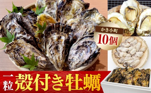 yLssz()(uhy)@10yL Ly  VN {  lC L { ssz