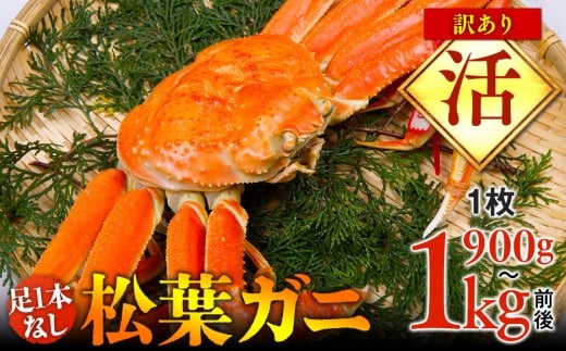 y挧khzyz1{Ȃ@󂠂@tKj@1i900g`1kgOjywsz2025N11{`2026N3{ɏ\