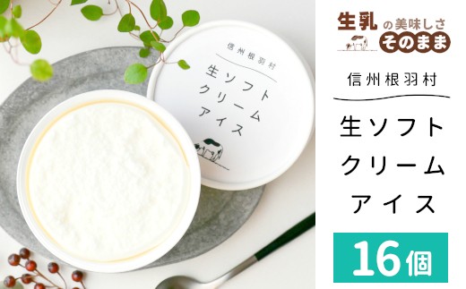 y쌧HzWłЉIӂƌyn肽ĐgpIw\tgN[ACXx16Zbg  ACXN[ ACX@   ~N