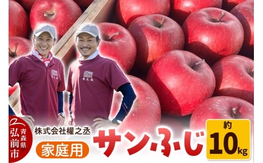 yXOOszy25N11oׁz ܔV Tӂ ƒp 10kgyOOsYEX񂲁z