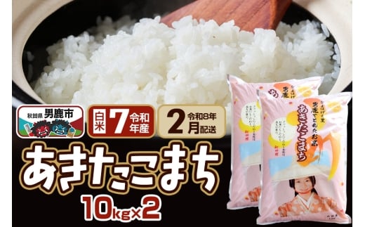 yHcjszyR8N2͂z܂  20kg(10kg×2) Ȃ܂̗͂ HcjsY 쏤X 