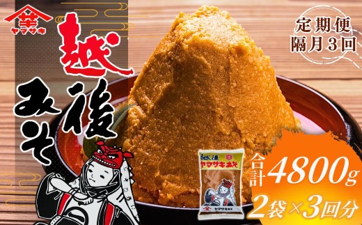 yVJsz u͂ z݂iԁj1.6kgi800g×2܁j×S3 R | }TL X ݂ z݂  yHi Y 蕨 v[g Mtg lC  