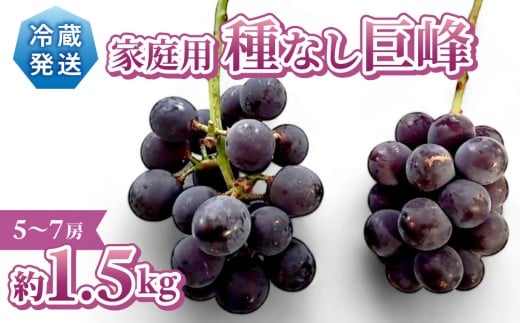 y쌧szst2026NyGrape Farm KodairazƒpȂ@1.5kgi5`7[j2026N9{ȍ~\