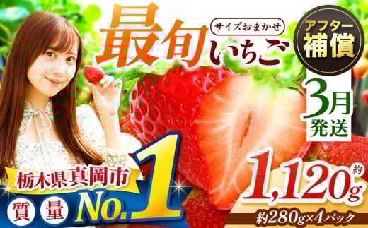 yȖ،^szy3zlCI ŏ{Ƃ 1120g 4pbN  | 1 2 3   v[g | Y { ʕ t[c  C`S 2026N V[Y st