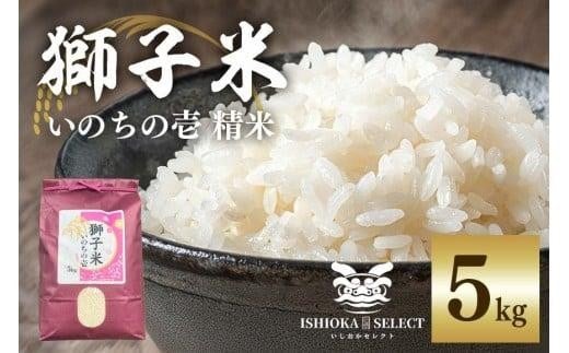 y錧Ήszy1ẑ̈  5kg    R    ͂ 錧 Ήs B02-062