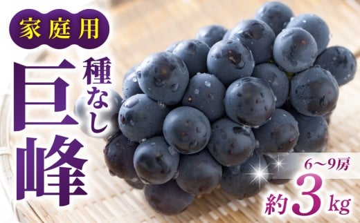 y쌧szyst2026NzyƂ̂݉ʎzƒpȂ@3kgi6`9[j2026N9{ȍ~