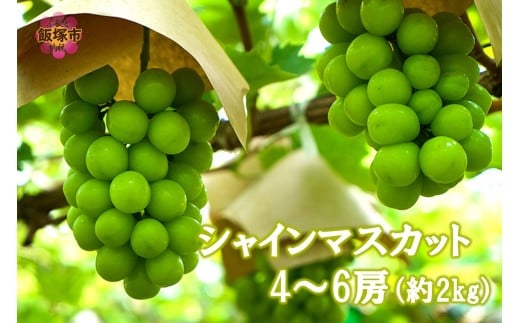 yђˎszVC}XJbg4-6[(2kg)2026N8{甭Jns\񁄁yB6-028z