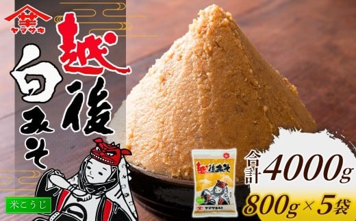 yVJszz݂ 800g×5 R | }TL X ݂ z݂  yHi Y 蕨 v[g Mtg lC   V Jsy0002-0359-01z