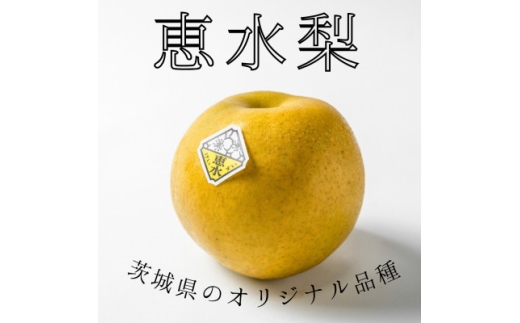 茨城県産 恵水梨 秀品または優品(5～7玉入り・約2.8kg)＜2026年9月上旬