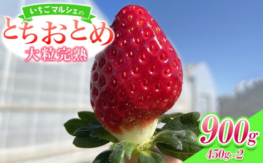 た*み様 【未使用】メロジョイ いちご 即日発送 K1854【先行予約