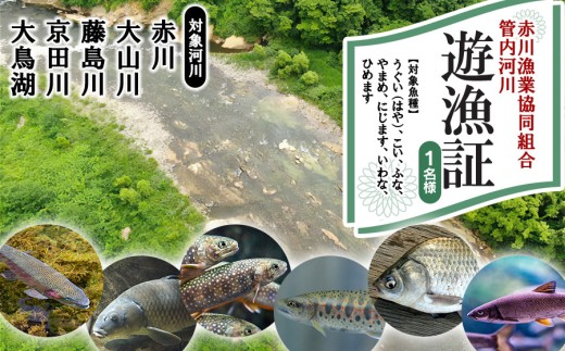 雑魚 遊漁証（赤川漁業協同組合管内河川）【期間：令和8年4月1日～9月