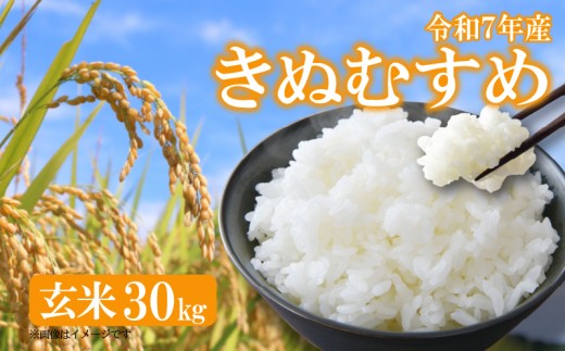 R7年産 】 令和7年産 米 きぬむすめ キヌムスメ 米 玄米 30kg 国産 