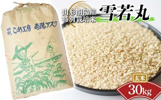 金賞受賞農家】 令和7年産 特別栽培米 雪若丸 (玄米) 30kg 『あおき 