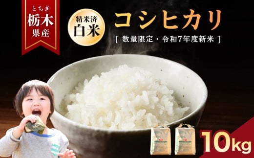 yȖ،szys\zЂ  10kg |    ~L[NC[ ʂ͂Ȃ Ƃ̐ RVqJ Ђ  ٓ Iׂ  ӂ邳 [ Ȗ، 