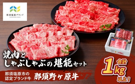 yȖ،ߐ{szߐ{샖 ēƂԂԂŊ\Zbg ns004-003 y  Hה Y Ԑg z