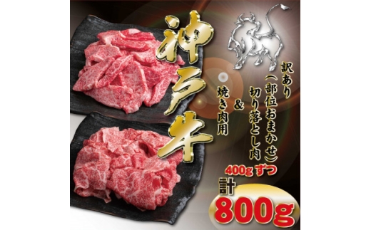 yɌ_͒z󂠂 _ˋ ؂藎ƂEēp v800g KKWSY2 2026N4菇y1682974z