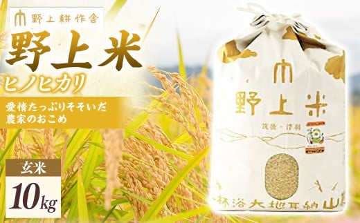 y͎szy2025N10{菇Jnzk ăqmqJ 10kg Ђ̂Ђ     Y BY  ͎s