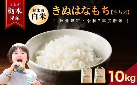 yȖ،szʂ͂Ȃ()  10kg |    ~L[NC[ ʂ͂Ȃ Ƃ̐ RVqJ Ђ  ٓ Iׂ  ӂ邳 [ Ȗ، 