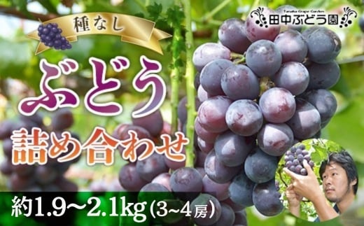 y{͓szVC}XJbgƑ嗱Ԃǂlߍ킹 1.9~2.1kgi3`4[jVC}XJbg Ԃǂlߍ킹  sI[l Ԃǂ uhE }XJbg ʕ t[c c