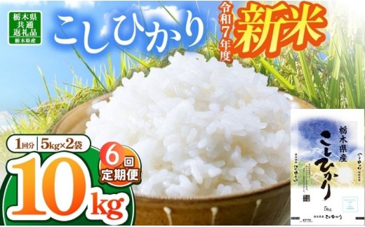 yȖ،߉ϐ쒬zyȖ،ʕԗizyߘa7NxVāzȖ،YRVqJ 60kg | Iׂ ӂ邳 [ RVqJ     嗱 ʕԗi  ߉ϐ쒬 Ȗ