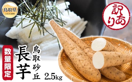 y挧zA24-341 󂠂蒹捻u 2.5kgyʌz