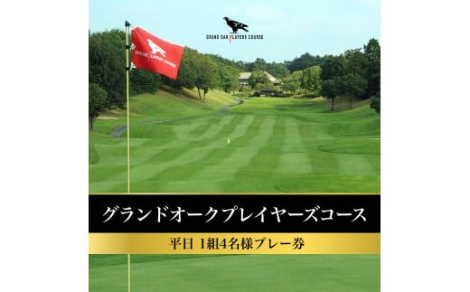 yɌszOhI[N vC[YR[X  1g4l v[ [ St s Ɍ ֐ St ]