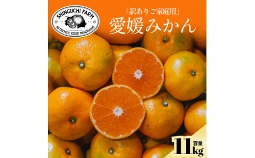 yQlsz󂠂肾ǔ̂܂܁Q݂ 11kg QYC70-136y1686736z