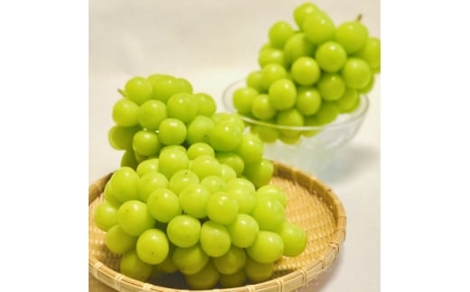 yRRsz2026Nst󂠂!YҒVC}XJbg v1kgɂ͑ËȂ!y1681114z