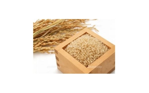 ymcszߘa7NY@̂@ā@30kgy1685068z