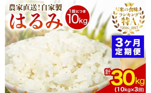 y_ސ쌧ɐsz[ց^3A ] V [ߘa7NY] ɐY 10kg(5kg×2) ͂ _ƒI񂿂̂߂IƐāb  R  _ސ ɐ uh