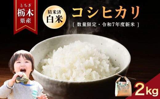 yȖ،szys\zЂ  2kg |    ~L[NC[ ʂ͂Ȃ Ƃ̐ RVqJ Ђ  ٓ Iׂ  ӂ邳 [ Ȗ، 