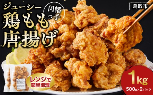 y挧szq W[V[{g 500g×2pbN