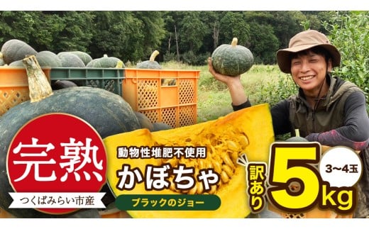 y錧΂݂炢szy A znڂ ubÑW[ 5kgi3`4ʁj ڂ ڂ قق ˂Ƃ Â Y 錧Y A   Y