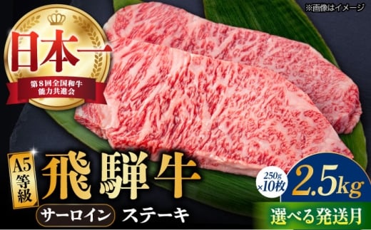 y򕌌szy11zyˋz A5 T[C Xe[Lp 10 (v2.5kg) a uh Y  s / nӐX [TAZ003-11]