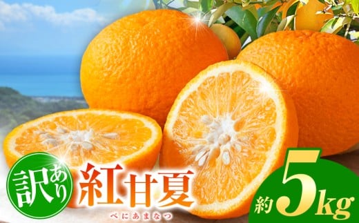 yF{ʖsz󂠂 gÉ  5kg | t[c ʕ  k ~J ݂ É ܂Ȃ F{ ʖs