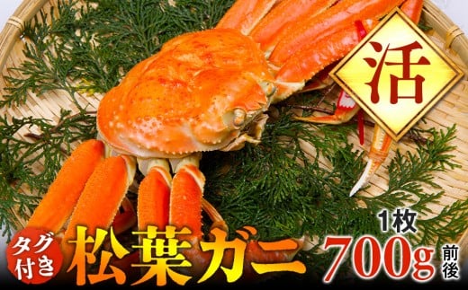 y挧khzyz^OttKj@1i700gOjywsz2025N11{`2026N3{ɏ\s Jj It