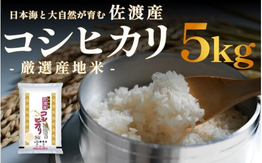 yVnsznYRVqJ 5kg ߘa7NY