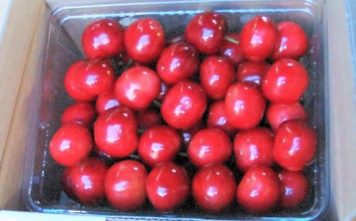 yR`RszځiсjTOO@QkTCY@0112-2606