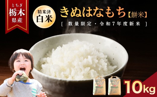 yȖ،szys\zʂ͂Ȃ()  10kg |    ~L[NC[ ʂ͂Ȃ Ƃ̐ RVqJ Ђ  ٓ Iׂ  ӂ邳 [