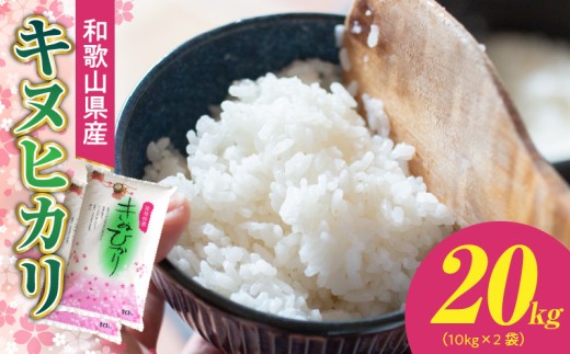 ya̎R󒬁zBB6222 _a̎RY LkqJ 20kg ( 10kg × 2j2025NYyʂЂ   㔒 Y LkqJ ăMtg  āz